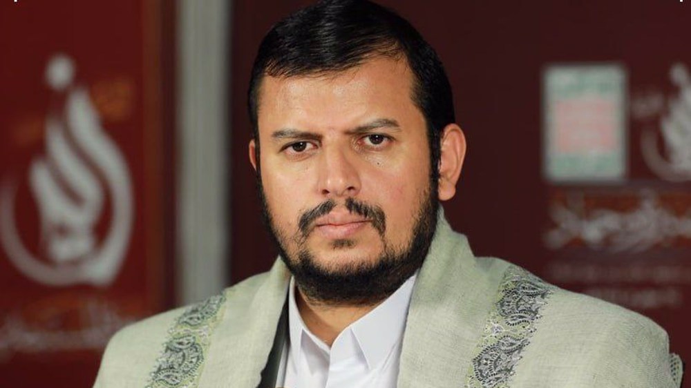 Yemen’s Ansar Allah released 113 detainees