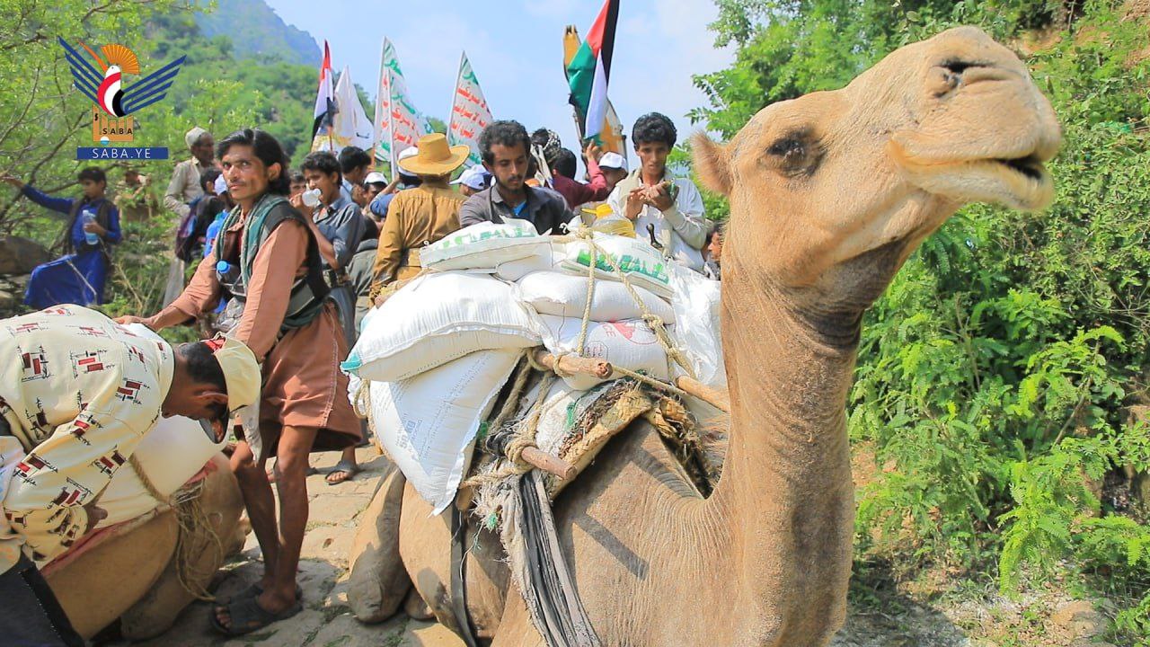 Relief initiatives for flood affected areas in Hodeidah and Mahweet